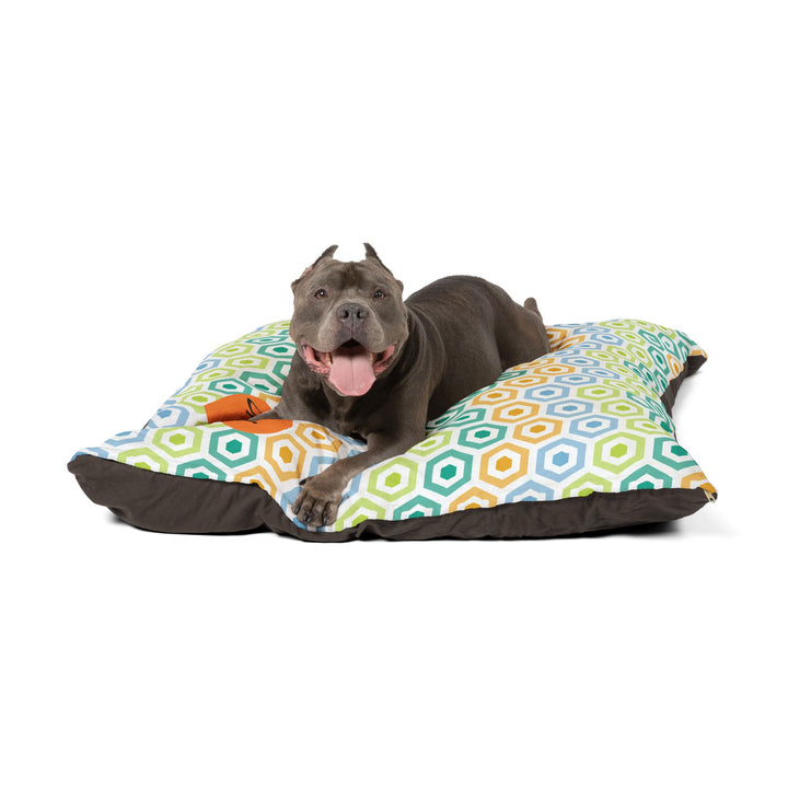 Bright & Breezy Hex Pet Bed