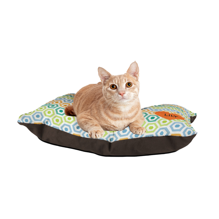 Bright & Breezy Hex Cat Bed