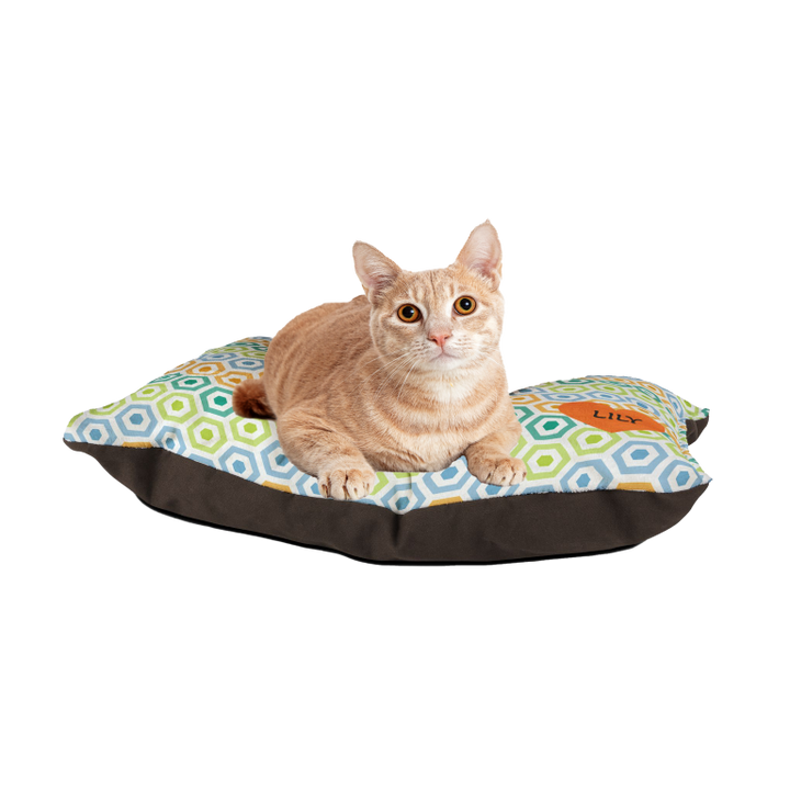 Bright & Breezy Hex Cat Bed