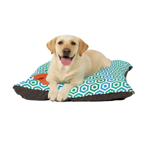 Labrador large Dog Bed Cushion teal