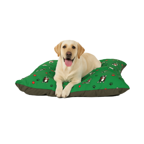 Labrador on large Dog Bed, green dog cushion