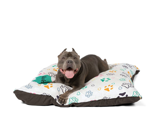 Paws & Relax - Multicolor Dog Pillow
